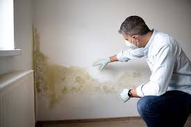 Best Emergency Mold Remediation  in Groesbeck, OH